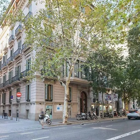 Alcam Small Paseo De Gracia Barcelona